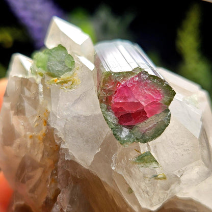 Watermelon Tourmaline on Quartz 166.23g, Terminated Bicolored Brazilian Tourmaline Specimen, Watermelon Tourmaline Crystal, Pink Tourmaline