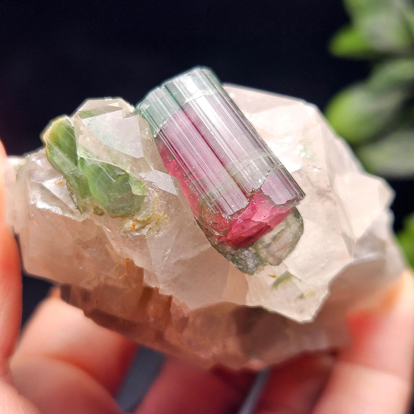 Watermelon Tourmaline on Quartz 166.23g, Terminated Bicolored Brazilian Tourmaline Specimen, Watermelon Tourmaline Crystal, Pink Tourmaline