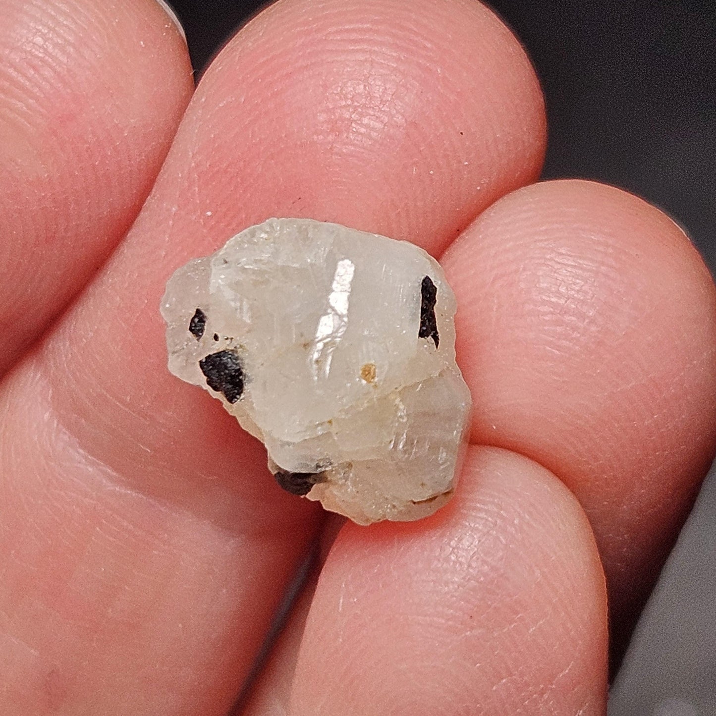 Phenacite Crystal with Black Tourmaline 9.30ct, Terminated Phenacite Specimen, Nigerian Phenakite Crystal