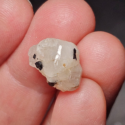 Phenacite Crystal with Black Tourmaline 9.30ct, Terminated Phenacite Specimen, Nigerian Phenakite Crystal