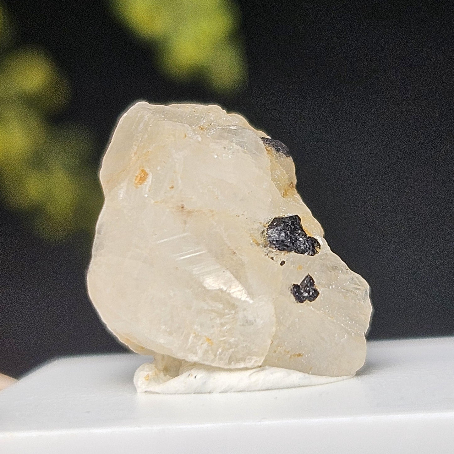 Phenacite Crystal with Black Tourmaline 9.30ct, Terminated Phenacite Specimen, Nigerian Phenakite Crystal
