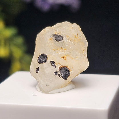 Phenacite Crystal with Black Tourmaline 9.30ct, Terminated Phenacite Specimen, Nigerian Phenakite Crystal
