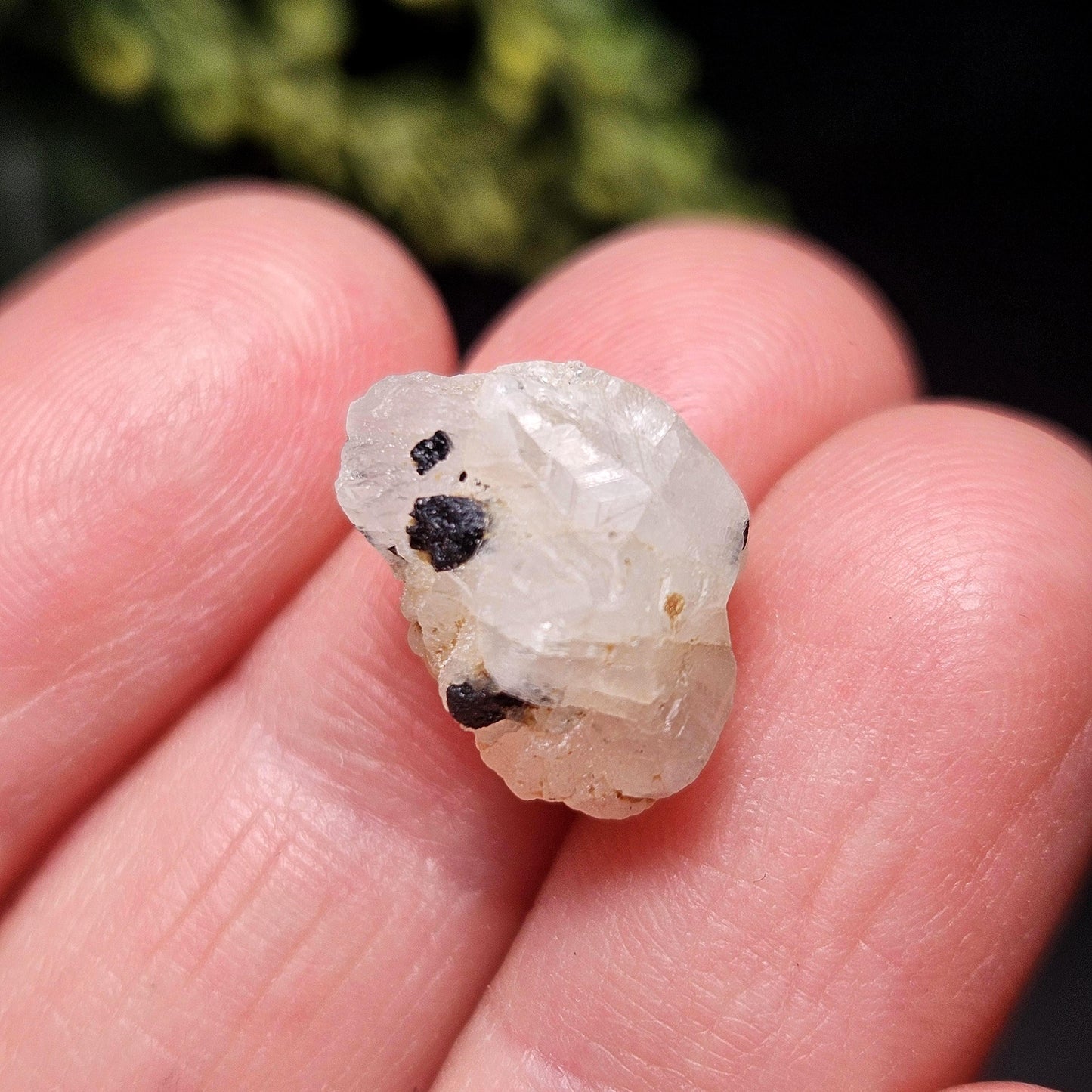 Phenacite Crystal with Black Tourmaline 9.30ct, Terminated Phenacite Specimen, Nigerian Phenakite Crystal