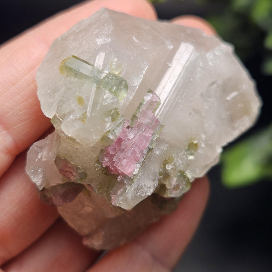 Watermelon Tourmaline on Quartz 50.28g