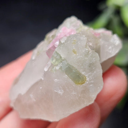 Watermelon Tourmaline on Quartz 50.28g