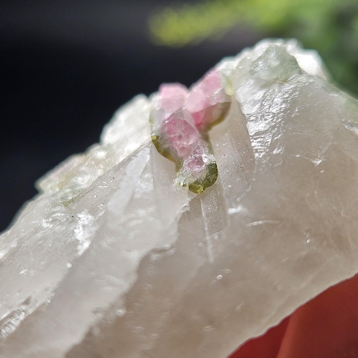 Watermelon Tourmaline on Quartz 50.28g
