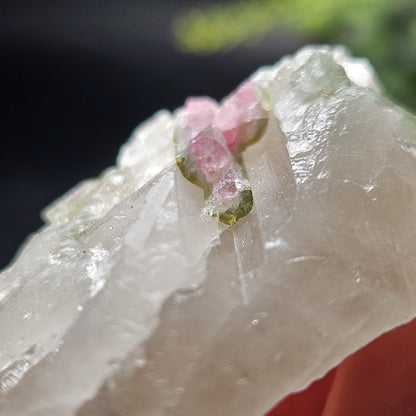 Watermelon Tourmaline on Quartz 50.28g