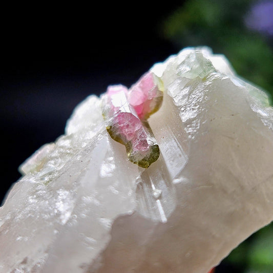 Watermelon Tourmaline on Quartz 50.28g