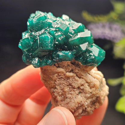 Dioptase Specimen from Congo 48.57g