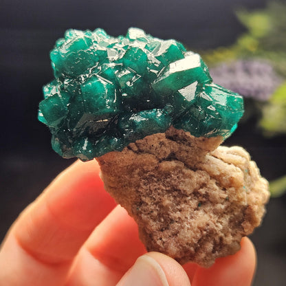 Dioptase Specimen from Congo 48.57g