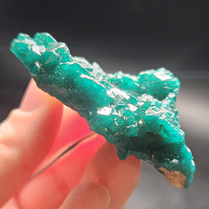 Dioptase Specimen from Congo 42.39g