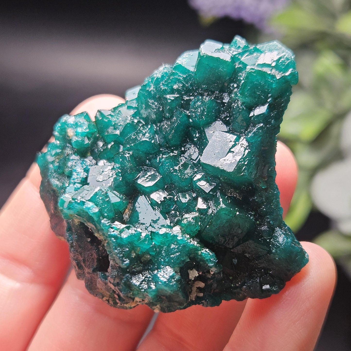 Dioptase Specimen from Congo 42.39g