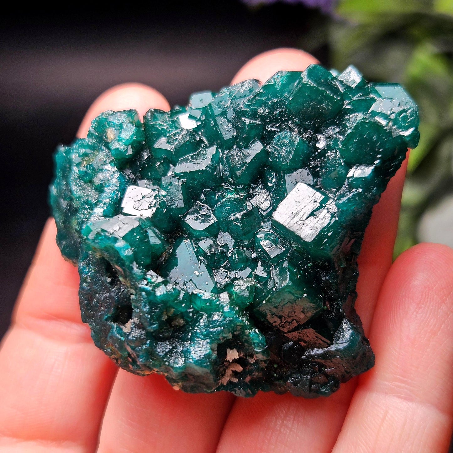Dioptase Specimen from Congo 42.39g