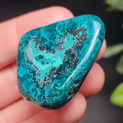 Polished Dioptase Crystal from the Congo 33.76g, Congo Dioptase Specimen, DRC Dioptase Crystal