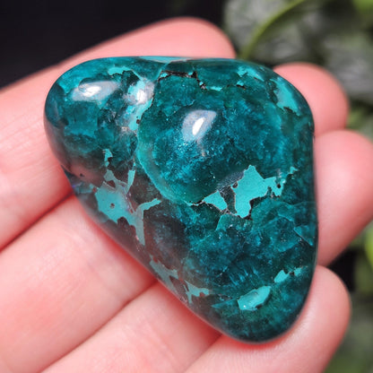 Polished Dioptase Crystal from the Congo 33.76g, Congo Dioptase Specimen, DRC Dioptase Crystal