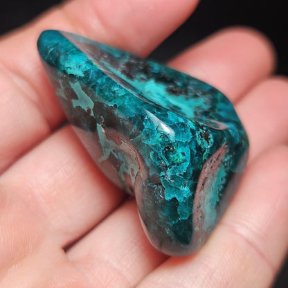 Polished Dioptase Crystal from the Congo 33.76g, Congo Dioptase Specimen, DRC Dioptase Crystal