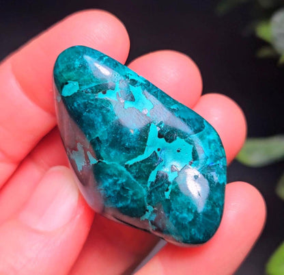Polished Dioptase Crystal from the Congo 33.76g, Congo Dioptase Specimen, DRC Dioptase Crystal