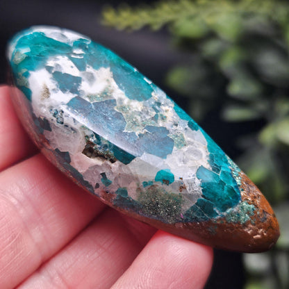 Polished Dioptase in Quartz Crystal 35.88g, Congo Dioptase Specimen, DRC Dioptase Crystal