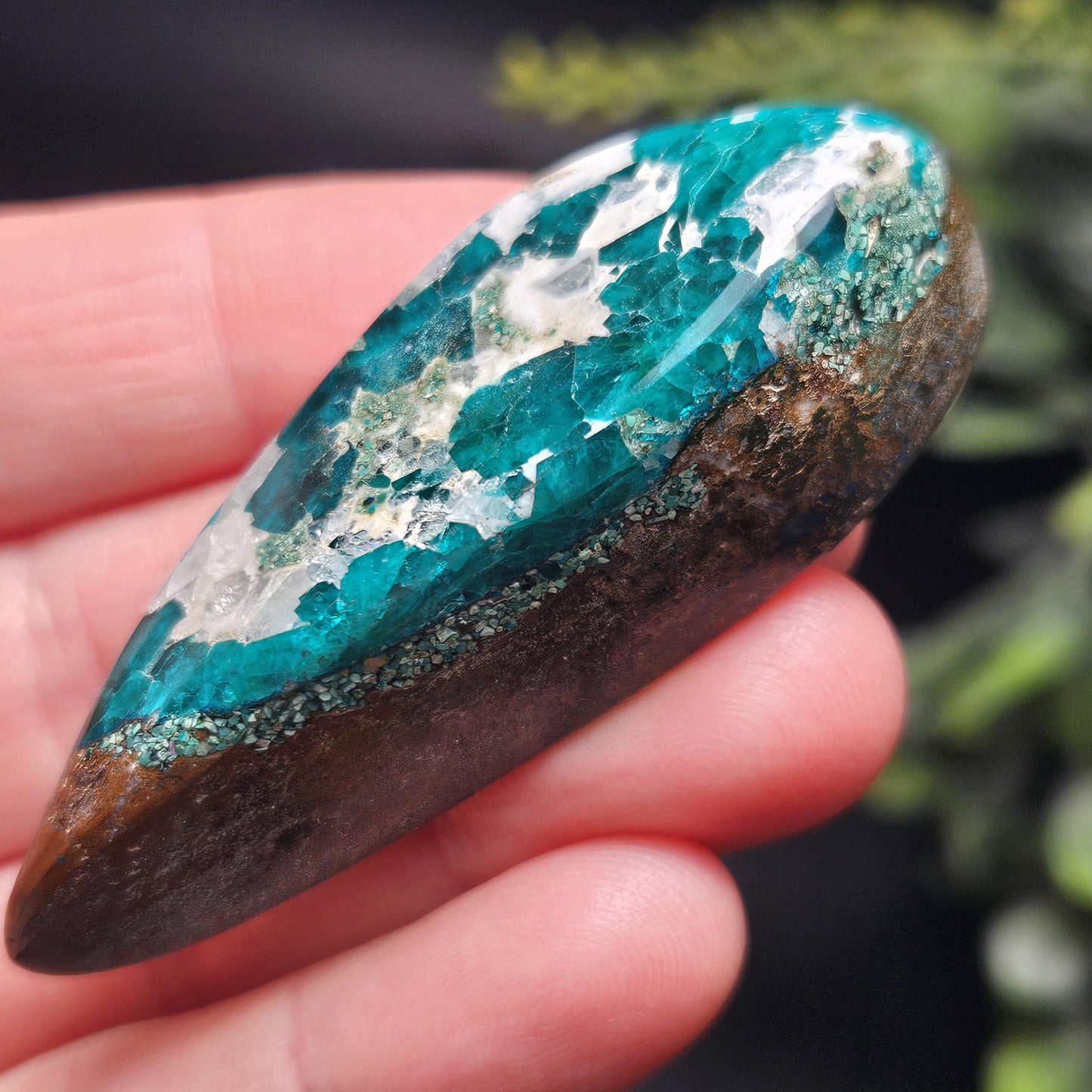 Polished Dioptase in Quartz Crystal 35.88g, Congo Dioptase Specimen, DRC Dioptase Crystal