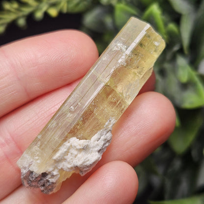 Terminated Heliodor Crystal 12.71g, Rainbow Inclusion, AAA Golden Beryl