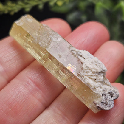 Terminated Heliodor Crystal 12.71g, Rainbow Inclusion, AAA Golden Beryl