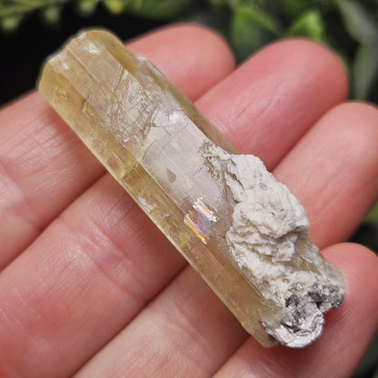 Terminated Heliodor Crystal 12.71g, Rainbow Inclusion, AAA Golden Beryl