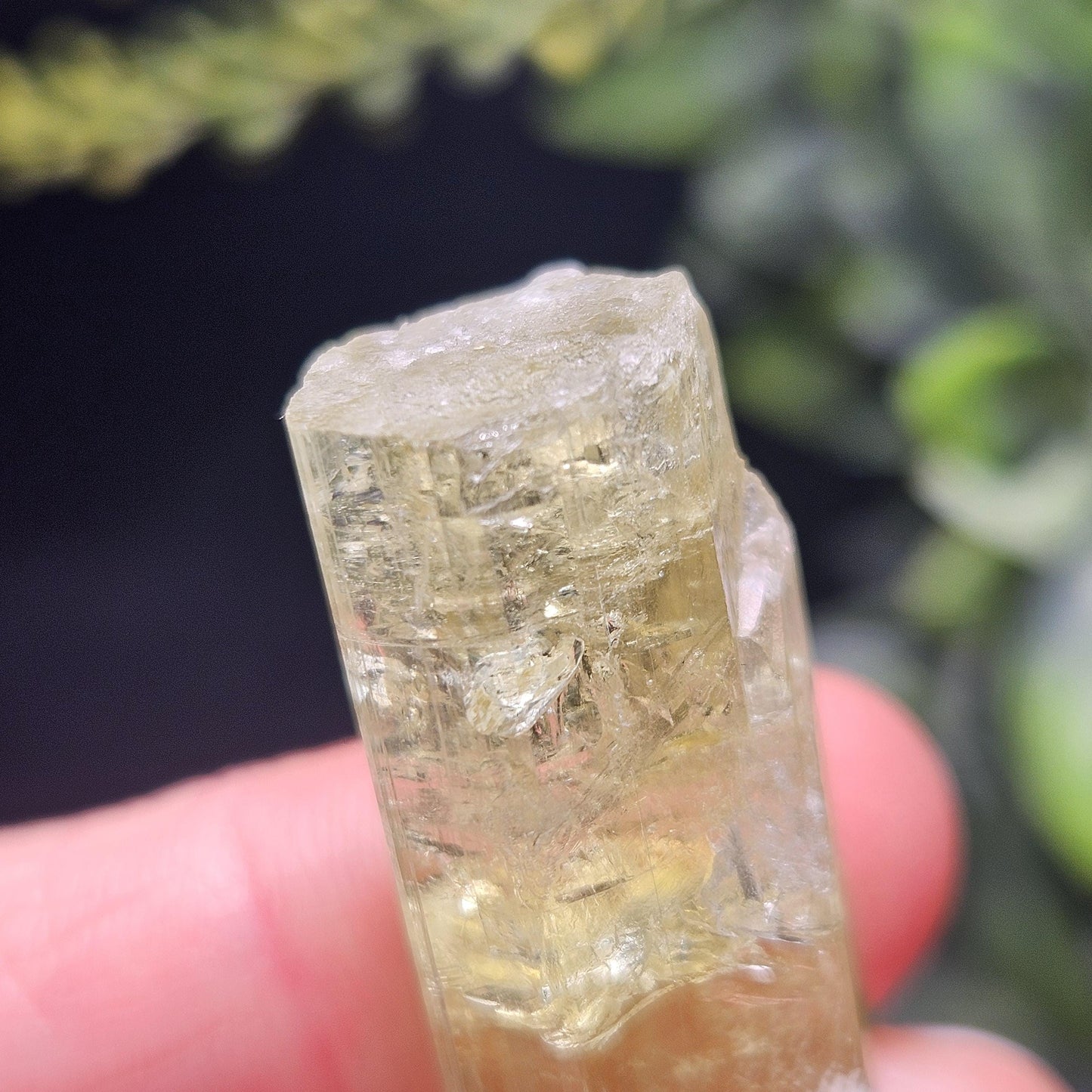 Terminated Heliodor Crystal 12.71g, Rainbow Inclusion, AAA Golden Beryl