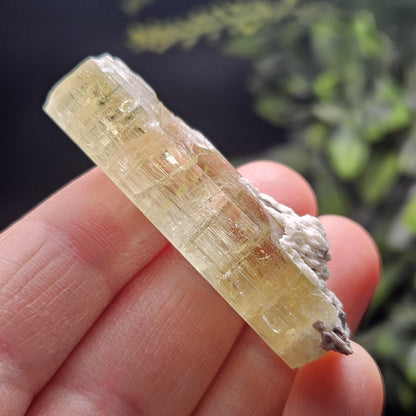 Terminated Heliodor Crystal 12.71g, Rainbow Inclusion, AAA Golden Beryl