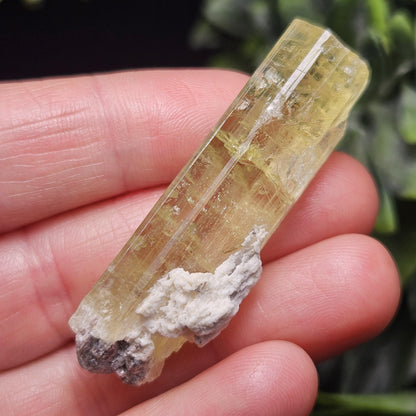 Terminated Heliodor Crystal 12.71g, Rainbow Inclusion, AAA Golden Beryl