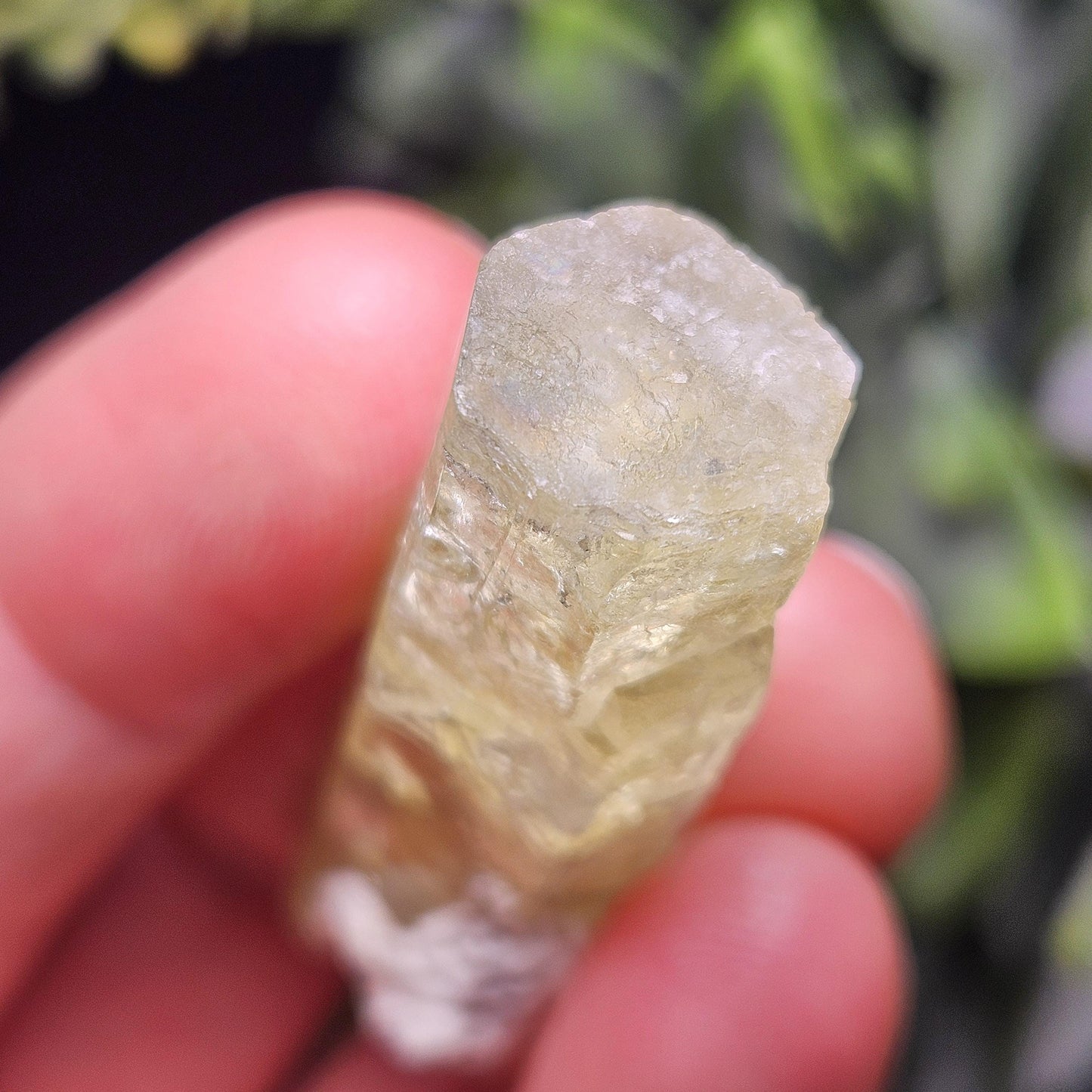 Terminated Heliodor Crystal 12.71g, Rainbow Inclusion, AAA Golden Beryl