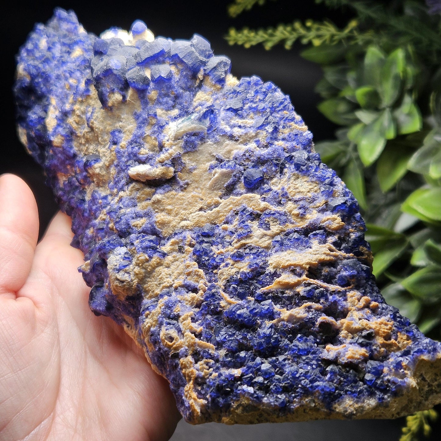 Blue Fluorite Crystal Cluster 1.37 lbs, "Blueberry" Fluorite Crystal Specimen