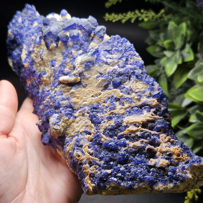 Blue Fluorite Crystal Cluster 1.37 lbs, "Blueberry" Fluorite Crystal Specimen