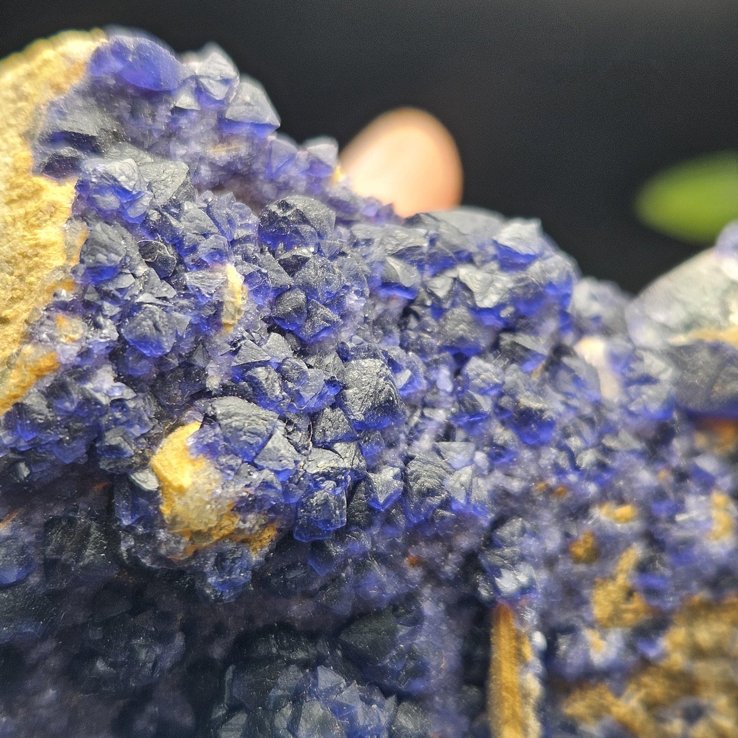 Blue Fluorite Crystal Cluster 1.37 lbs, "Blueberry" Fluorite Crystal Specimen