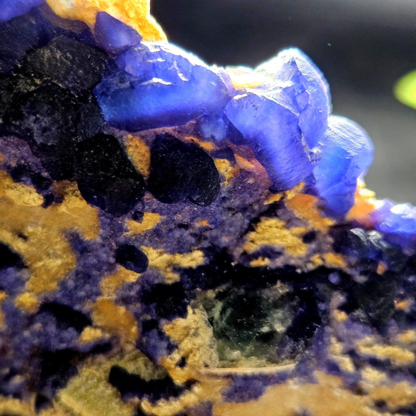 Blue Fluorite Crystal Cluster 1.37 lbs, "Blueberry" Fluorite Crystal Specimen