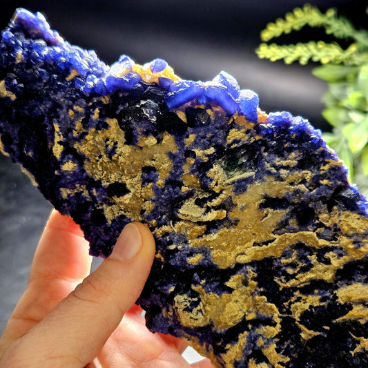 Blue Fluorite Crystal Cluster 1.37 lbs, "Blueberry" Fluorite Crystal Specimen
