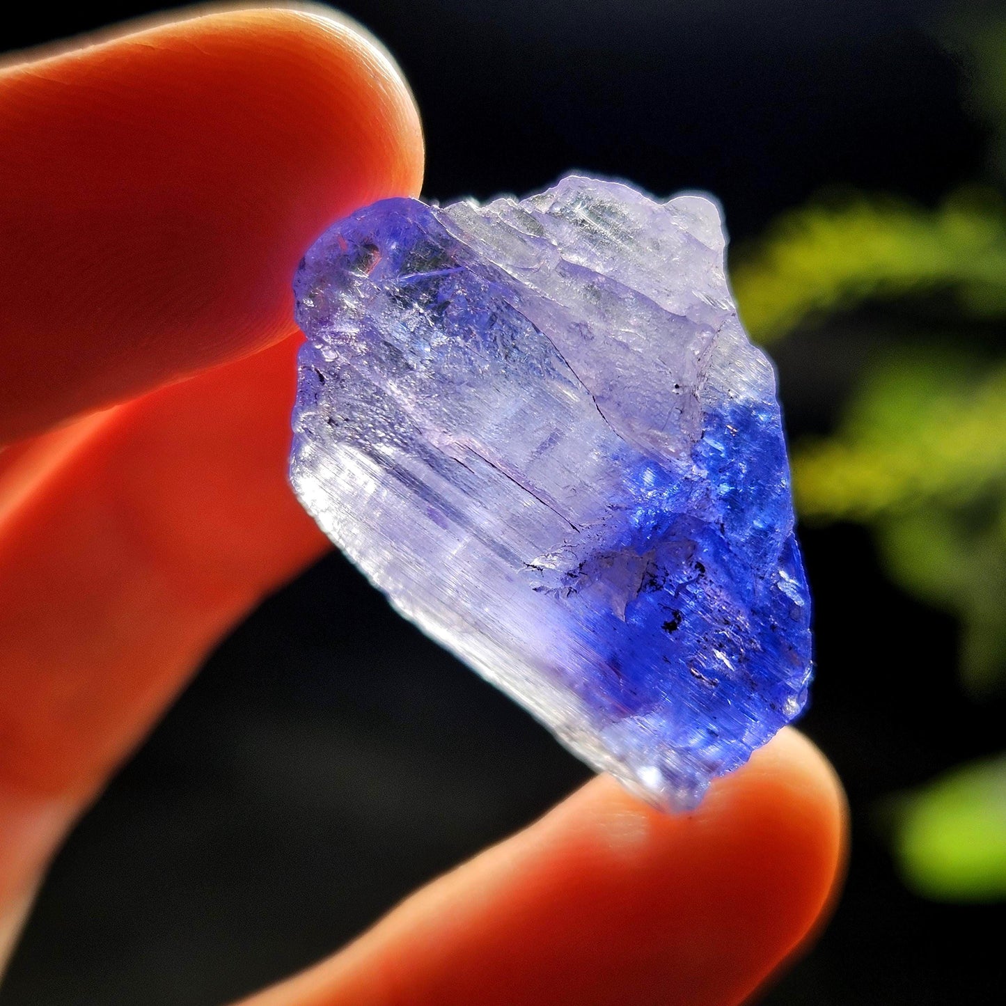 Tanzanite Crystal 7.65g, Etched Bicolor Tanzanite Gemstone, Tanzanite Crystal, Blue Purple Terminated Tanzanite