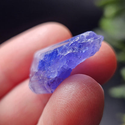 Tanzanite Terminated Crystal 4.69g, Bi Color Raw Tanzanite Gemstone