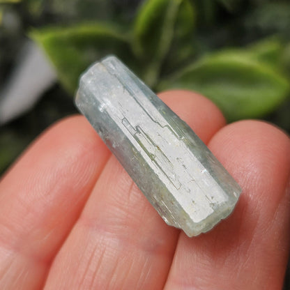 Terminated Aquamarine Crystal from Nigeria 3.55g, Nigerian Emerald Aquamarine, Vanadium Beryl