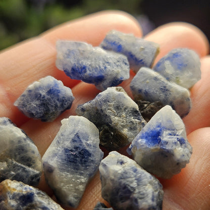 Natural Himalayan Sapphire Crystals from Badakhshan, Color Zoning Sapphire, Raw Blue Sapphire Stone
