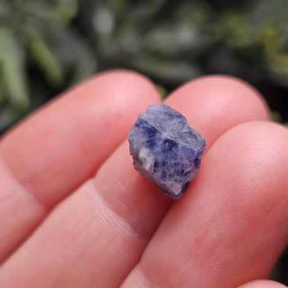 Raw Blue Sapphire Stone, Natural Himalayan Sapphire Crystal from Badakhshan, Color Zoning Sapphire