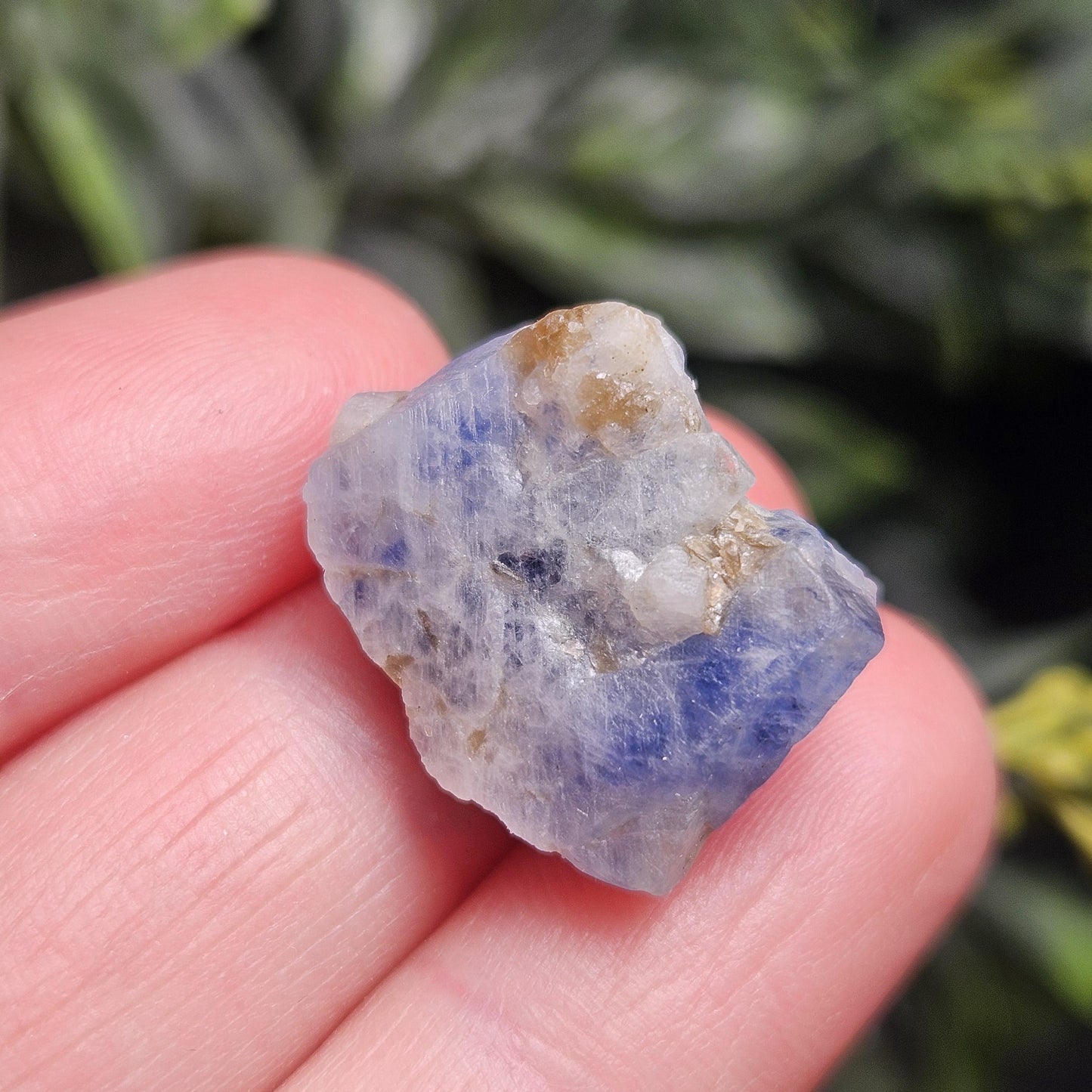 Raw Blue Sapphire Stone, Natural Himalayan Sapphire Crystal from Badakhshan, Color Zoning Sapphire