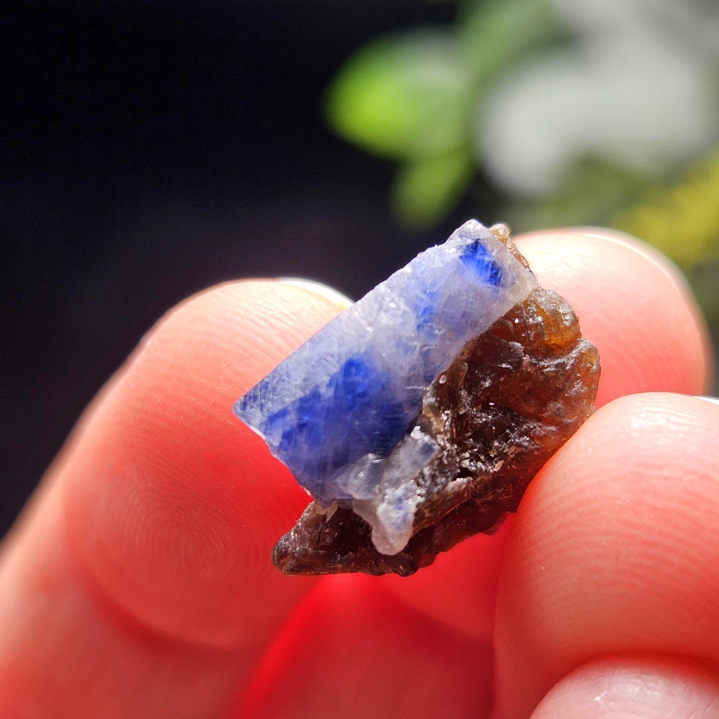 Raw Blue Sapphire Stone, Natural Himalayan Sapphire Crystal from Badakhshan, Color Zoning Sapphire