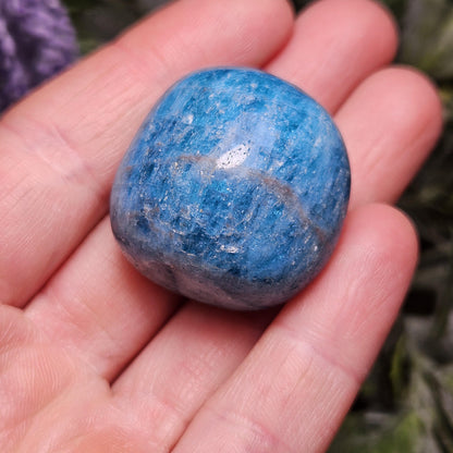 Blue Apatite Polished Crystal, Tumbled Blue Apatite, Polished Blue Apatite from Brazil