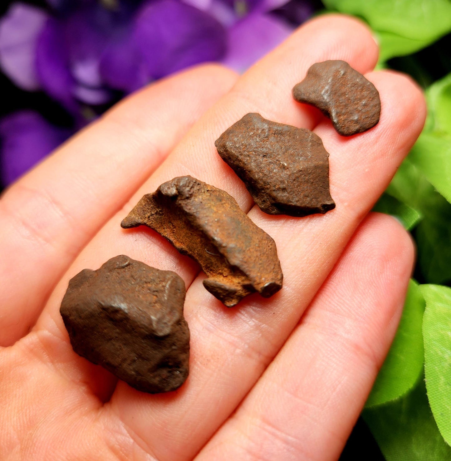 Egyptian Meteorite Specimen, Raw Meteor Stone, Iron Meteorite Fragments from Egypt