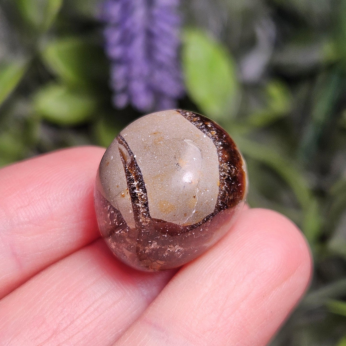 Tumbled Septarian Stone, Dragon Egg Calcite Geode, Septarian Stone Crystal Specimen