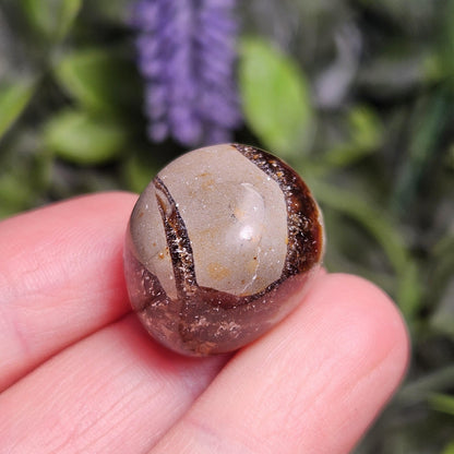 Tumbled Septarian Stone, Dragon Egg Calcite Geode, Septarian Stone Crystal Specimen