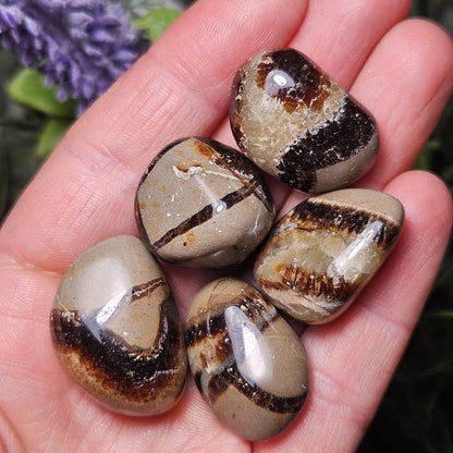 Tumbled Septarian Stone, Dragon Egg Calcite Geode, Septarian Stone Crystal Specimen