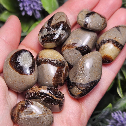 Tumbled Septarian Stone, Dragon Egg Calcite Geode, Septarian Stone Crystal Specimen