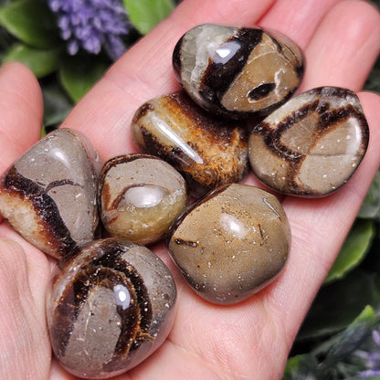 Tumbled Septarian Stone, Dragon Egg Calcite Geode, Septarian Stone Crystal Specimen