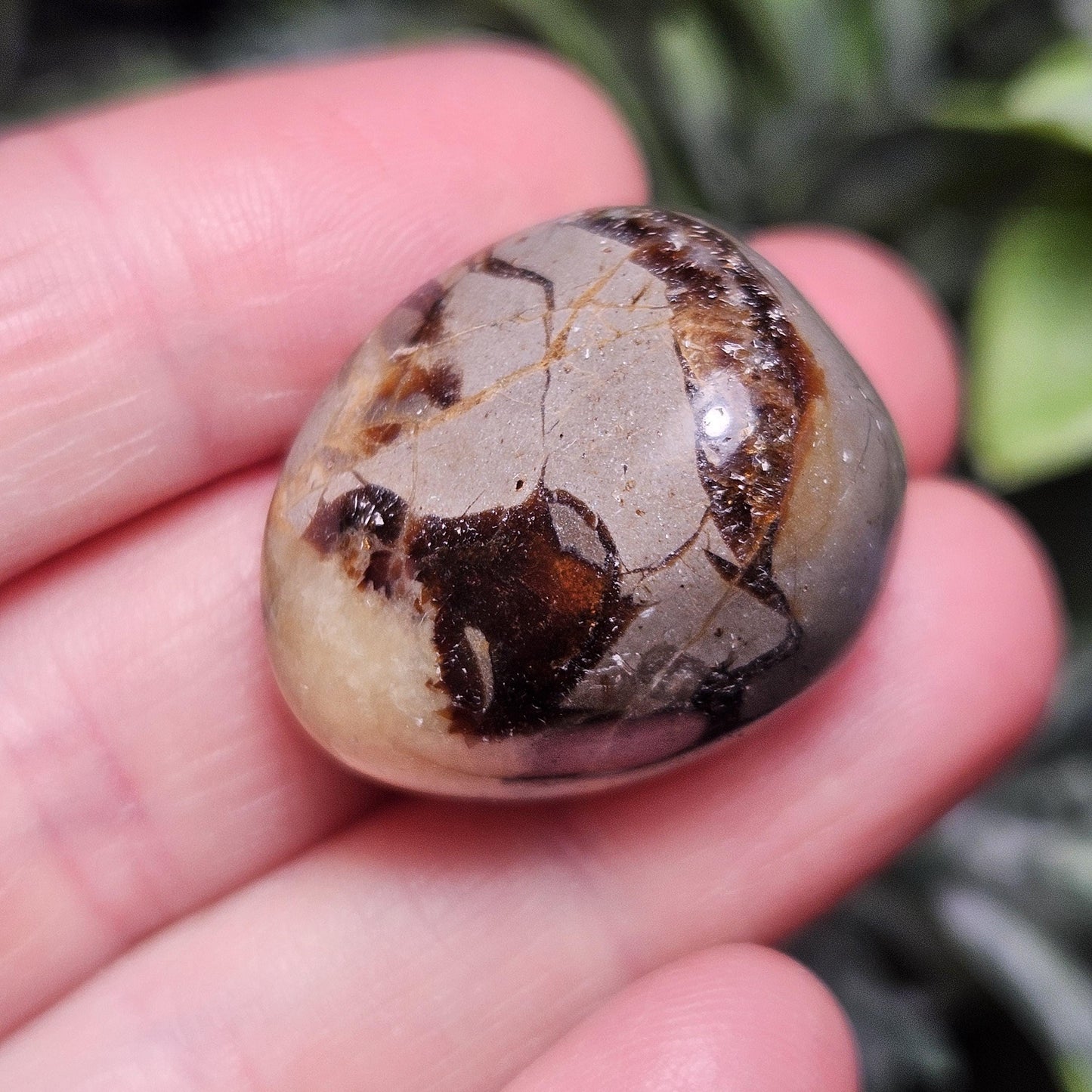 Tumbled Septarian Stone, Dragon Egg Calcite Geode, Septarian Stone Crystal Specimen